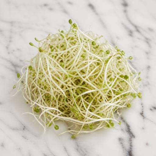 Alfalfa Sprout