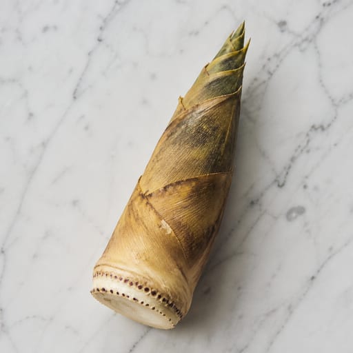 Bamboo Shoot