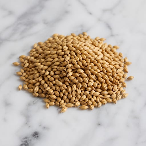 Barley Malt
