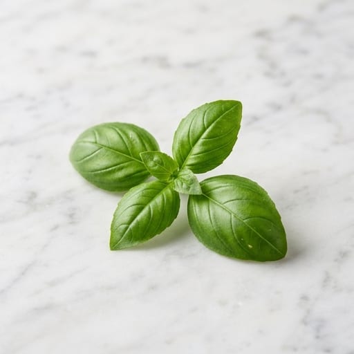 Basil