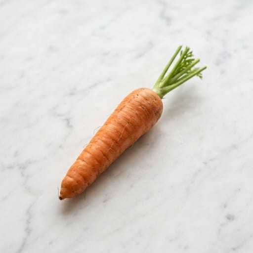 Carrot
