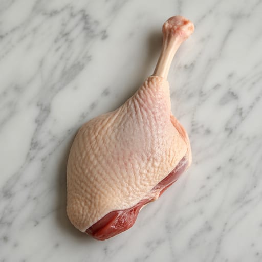 Duck Leg