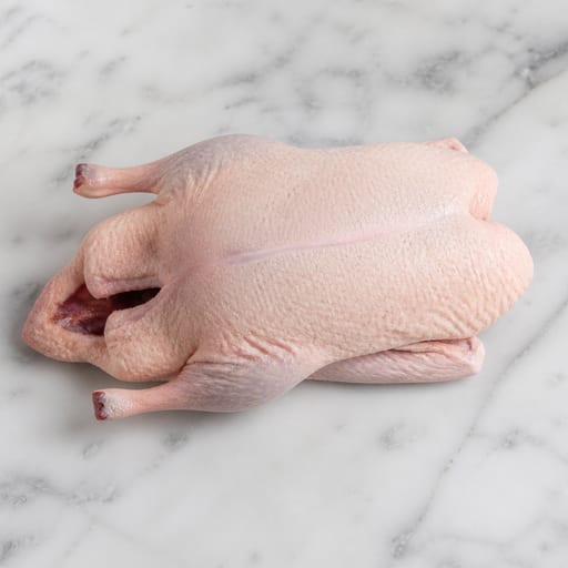 اردک
