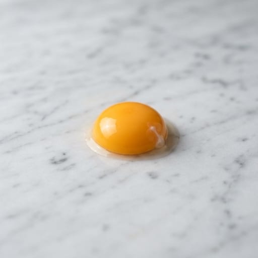 Egg Yolk