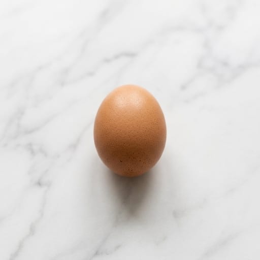Egg