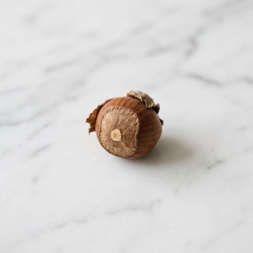 Hazelnut