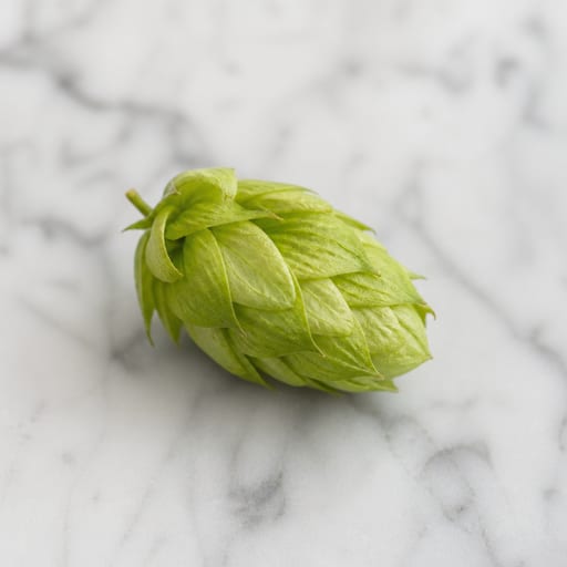 Hop