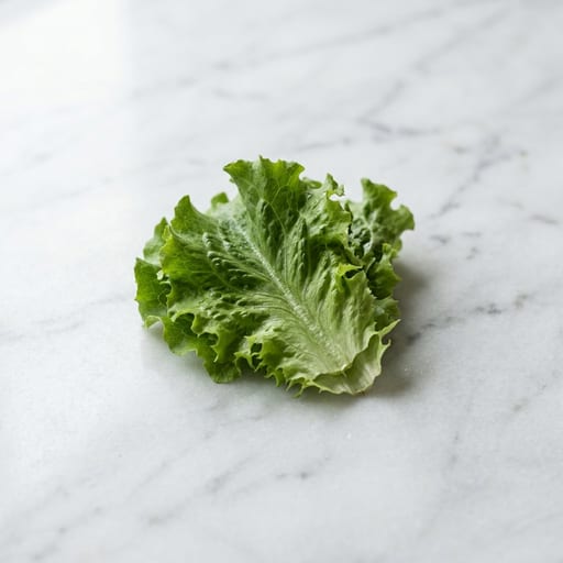 Lettuce 10g