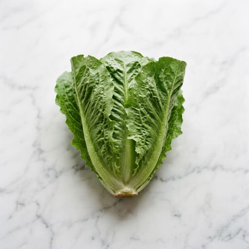Lettuce