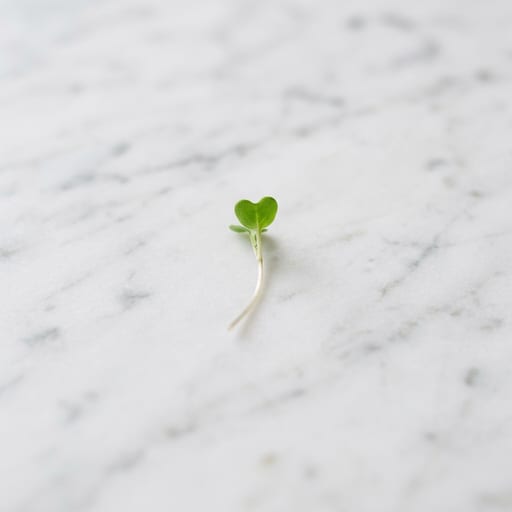 Microgreen