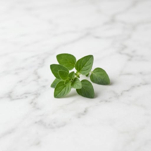 Oregano