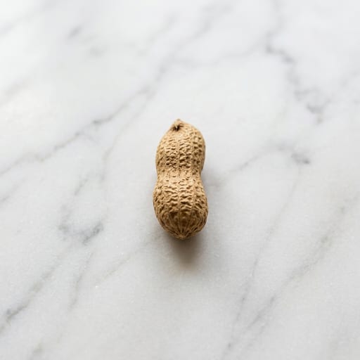 Peanut