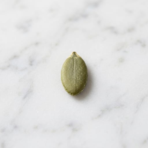 Pumpkin Seed