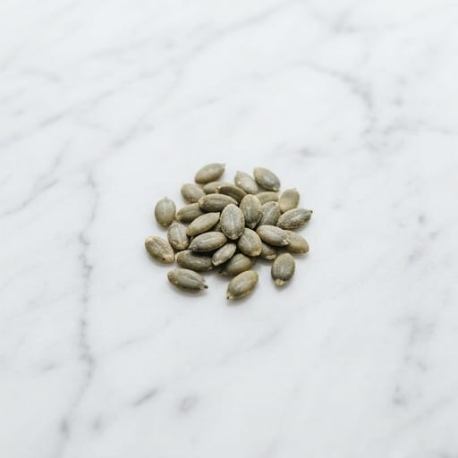 Pumpkin Seeds