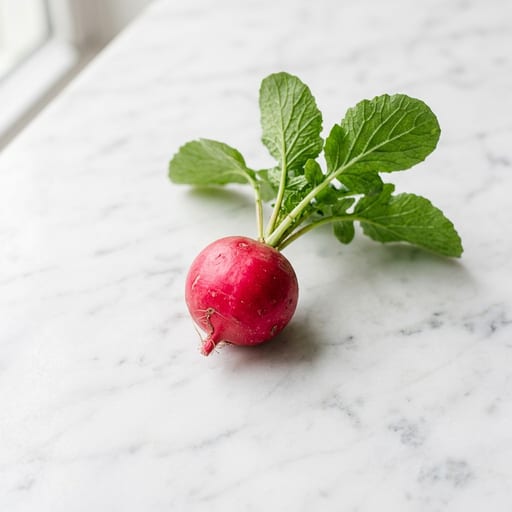 Radish