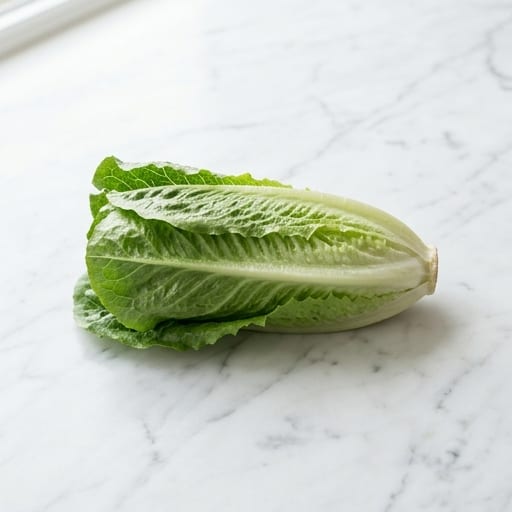 Romaine Lettuce