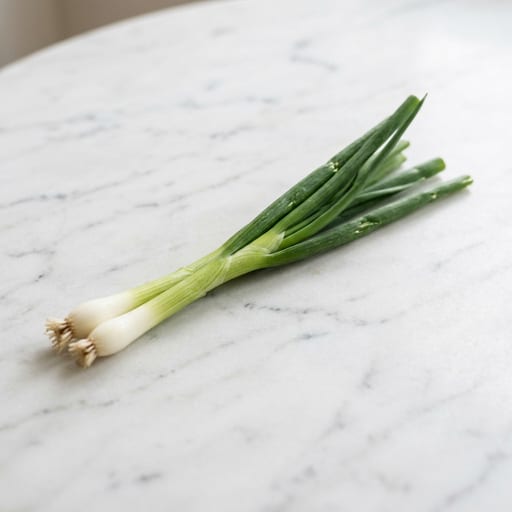 Scallion