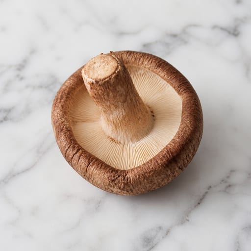 Shiitake Mushroom