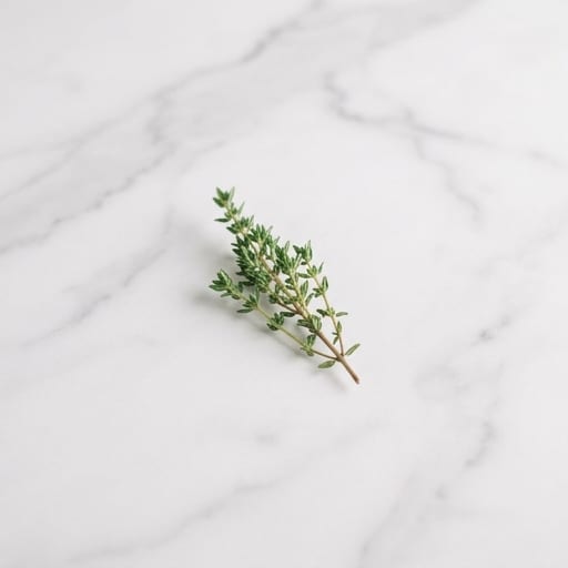 Thyme