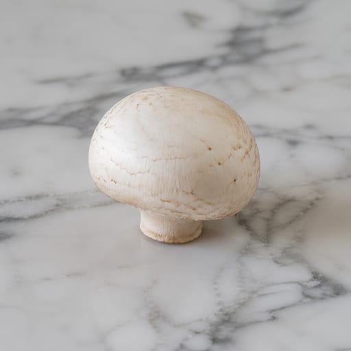 White Mushroom
